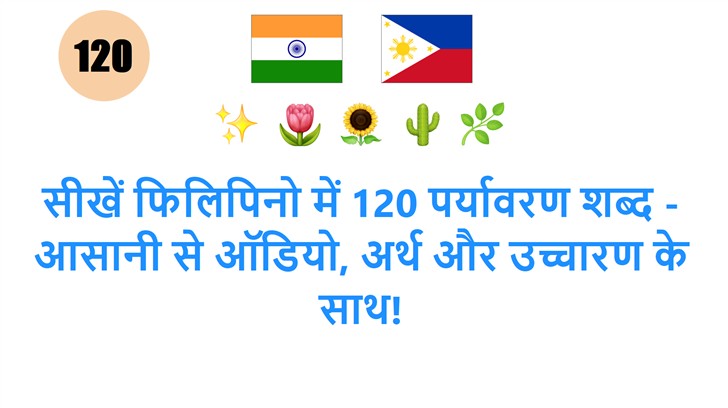 सीखें फिलिपिनो में 120 पर्यावरण शब्द - आसानी से ऑडियो, अर्थ और उच्चारण के साथ!